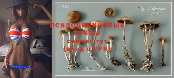ALPHA PVP Вязники