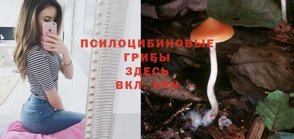 амф Вязьма