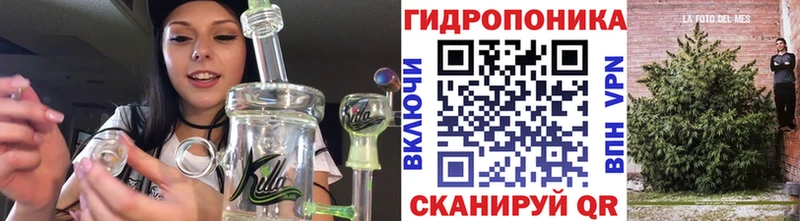 Конопля SATIVA & INDICA  ОМГ ОМГ ONION  Камышин  сколько стоит 